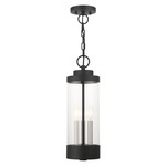 Hillcrest Outdoor Pendant - Textured Black / Clear