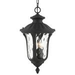 Oxford Outdoor Pendant - Textured Black / Clear