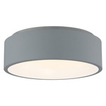 Radiant Ceiling Light - Gray / White