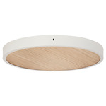 Large Multi-Light Canopy - White / Oak