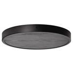 Large Multi-Light Canopy - Black / Black Ash