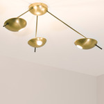 Helios Tribus Ceiling Light - Unpolished Balanced Brass / Brass