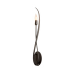 Willow Wall Sconce - Dark Smoke