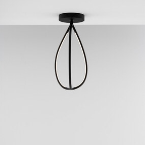 Arrival Wall/Ceiling Light
