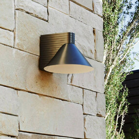 Chadwick Outdoor Dark Sky Wall Sconce