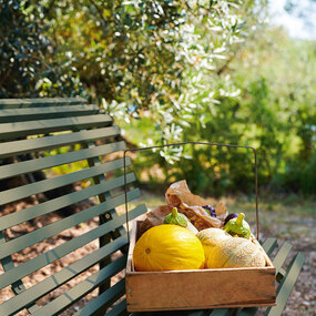 Louisiane Bench