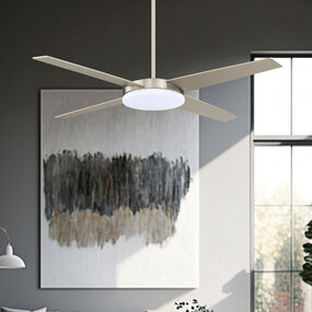 Lopro Ceiling Fan with Light