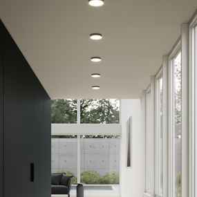 Novel Ceiling Light Fixture