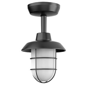 Odell Color-Select Outdoor Wall / Ceiling Light