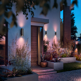 Appear Outdoor Smart Wall Sconce