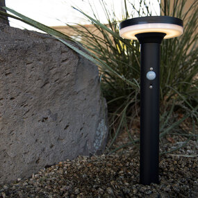 Roswell Outdoor Solar Path Light