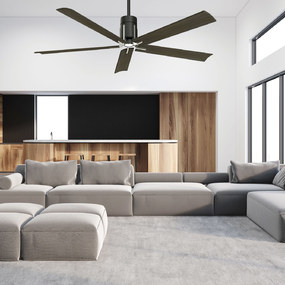 Clean Ceiling Fan with Light