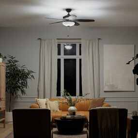 Renew Select Ceiling Fan with Light