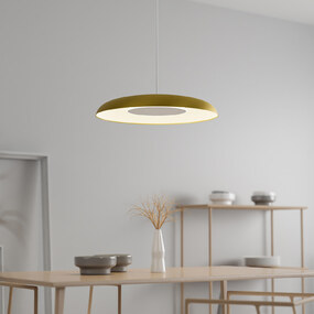 Ramen Wall / Ceiling / Pendant Light with Back Dish