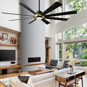 Aura Smart Ceiling Fan with Light