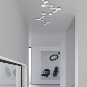 Coral Wall / Ceiling Light