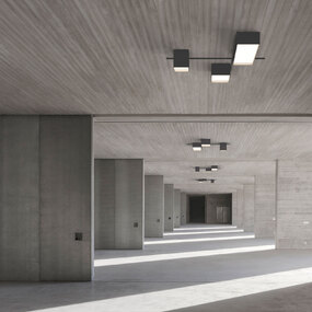 Structural Ceiling Light