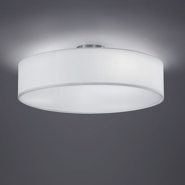 Liesegang favorit 400 Typ 639 Lavagne luminose