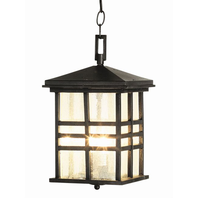 Rustic Craftsman Outdoor Hanging Lantern by Trans Globe