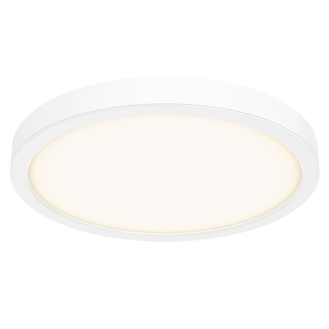Delta Color Select Round Outdoor Wall / Ceiling Light by DALS Lighting