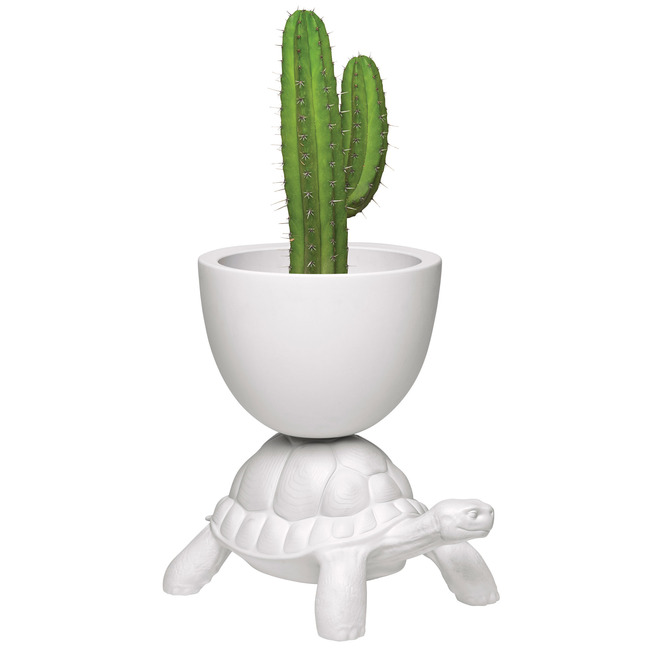 Turtle Carry Planter & Champagne Cooler by Qeeboo