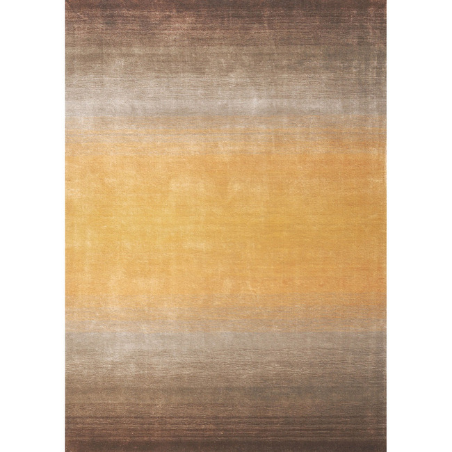 Gradian Area Rug by Toulemonde Bochart