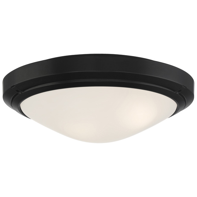 Oceanus Outdoor Ceiling Light Fixture by Access