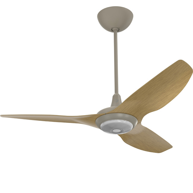 Haiku Universal Mount Outdoor Ceiling Fan with Downlight by Big Ass Fans