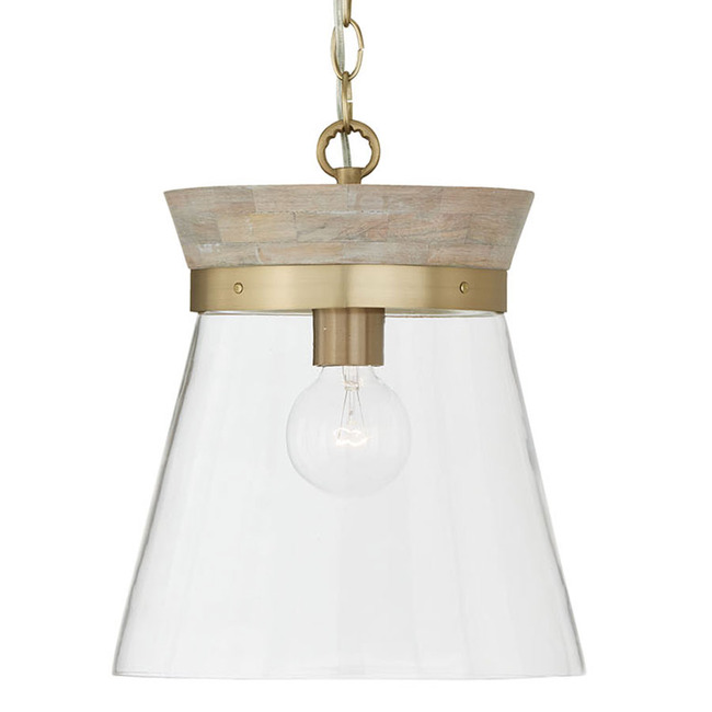 Finn Pendant by Capital Lighting