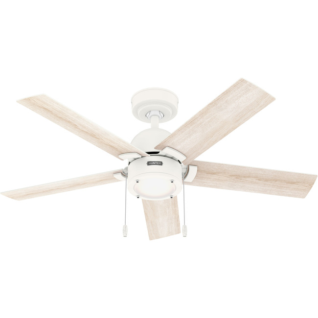 Erling Ceiling Fan with Light by Hunter Fan