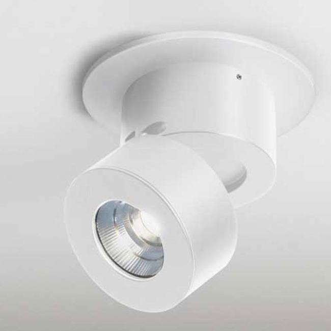 Favilla Surface Mount Ceiling Light