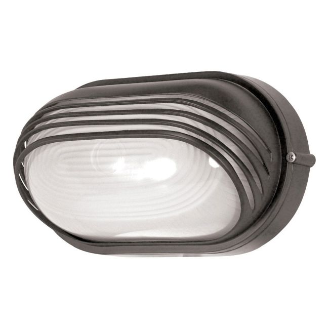 Oval Outdoor Hooded Die Cast Wall Light by Satco