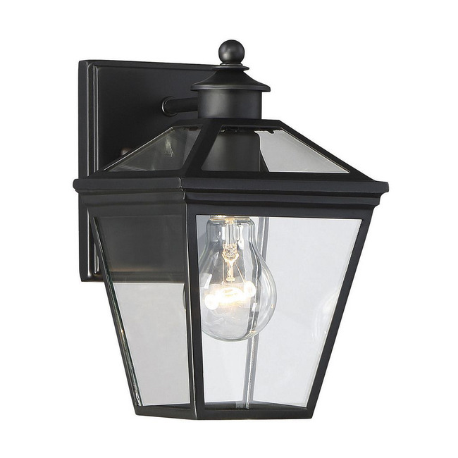 Ellijay Outdoor Wall Sconce by Savoy House