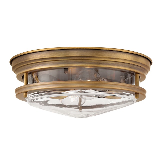 Hadley Clear Glass Ceiling Light Fixture by Hinkley Lighting