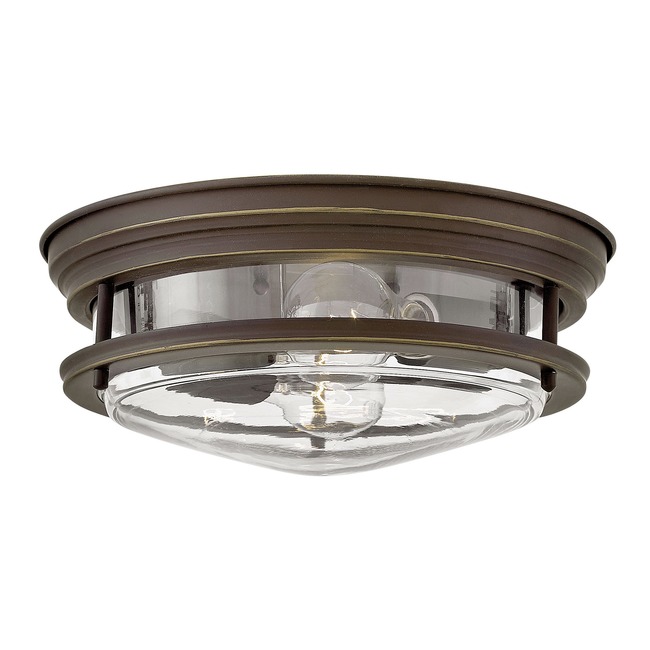 Hadley Clear Glass Ceiling Light Fixture by Hinkley Lighting