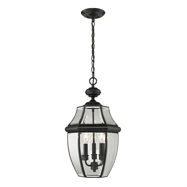 Ashford Outdoor Pendant by Elk Home