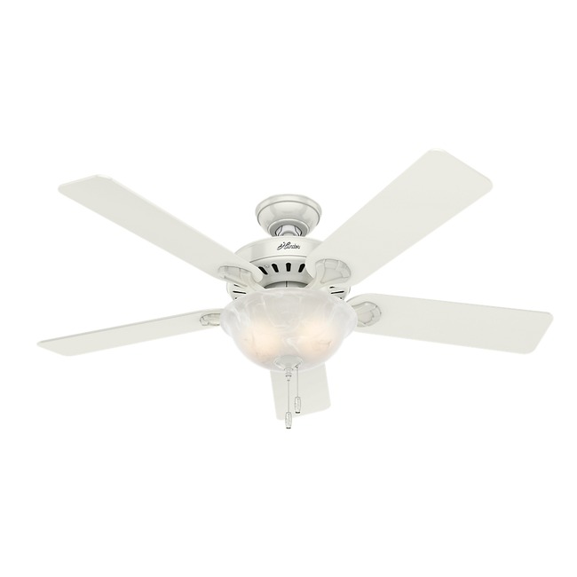 Pros Best Ceiling Fan with Light by Hunter Fan