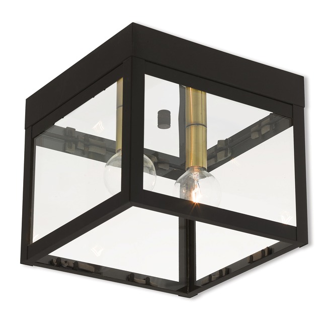 Nyack Outdoor Ceiling Light Fixture by Livex Lighting