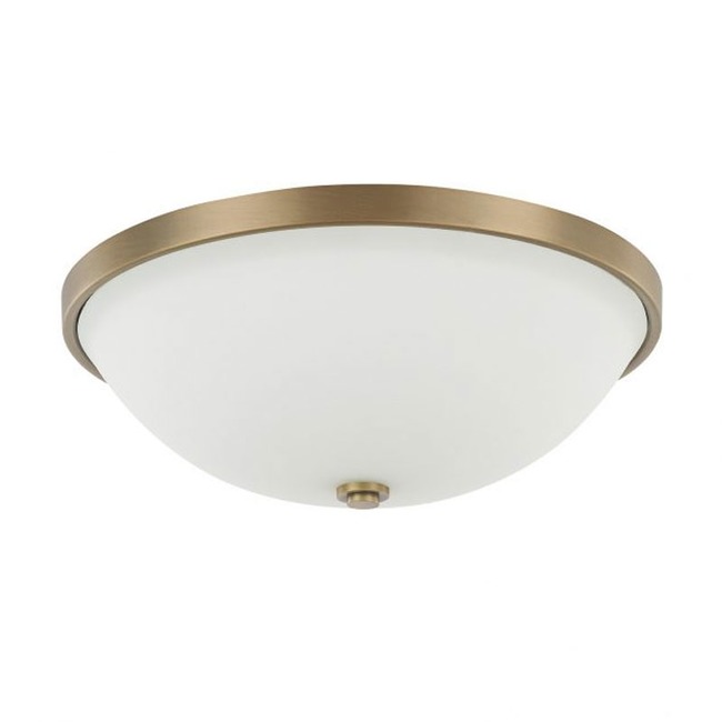 15 Inch Ceiling Light by Capital Lighting