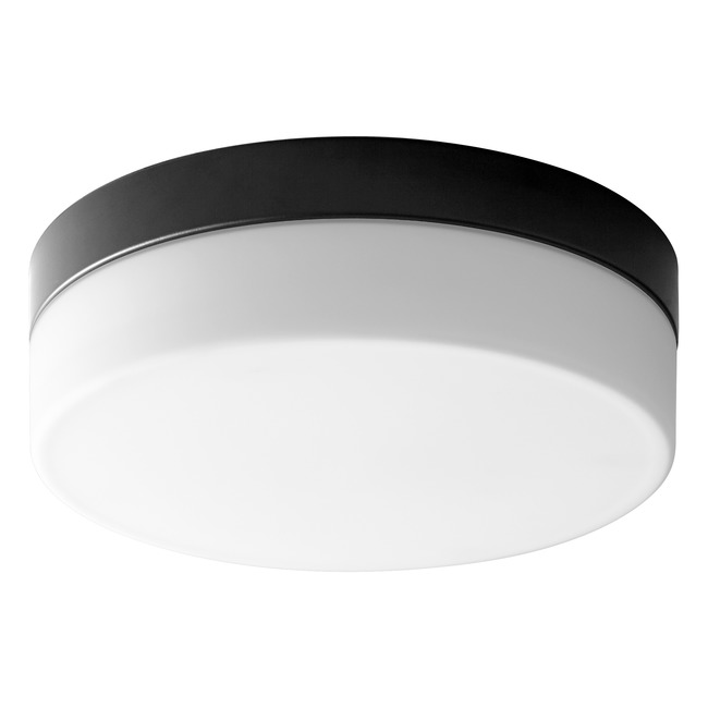 Zuri Wall/Ceiling Light by Oxygen