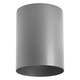 Outdoor Flush Mount Cylinder Ceiling Light