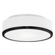 Charlie Ceiling Flush Light