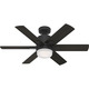 Radeon Smart Ceiling Fan with Light