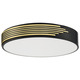 Maestro Ceiling Light Fixture