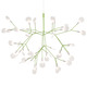 Heracleum III Pendant