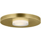 Castor Ceiling Light