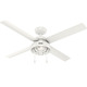 Spring Mill Outdoor Ceiling Fan with Light