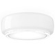 Bot Wide LED Wall / Ceiling Light