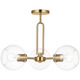 Codyn Convertible Ceiling Light