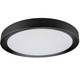 Flynn Color-Select Ceiling Light